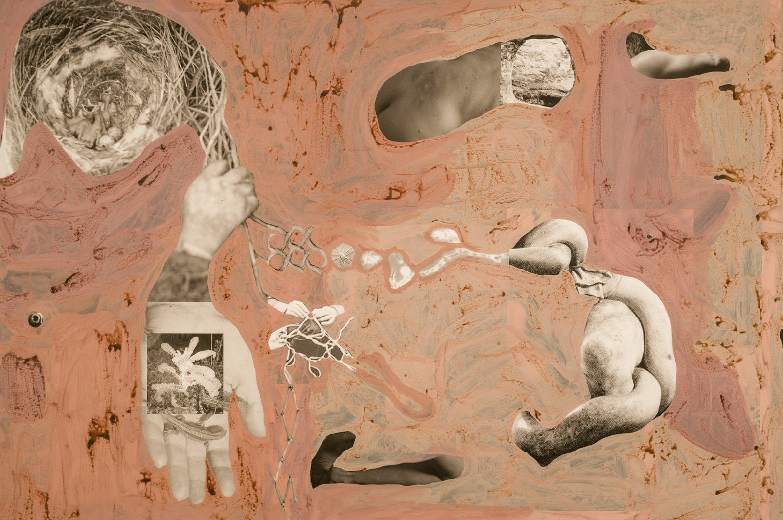 圖十二、《地勢 (關于時間，關于身體)》 (細節(jié)圖)，O?zlem Alt?n，2019